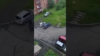 В Усть - Илимске. Медведь прогуливает во дворах. 19.06.2025. Иркутск.