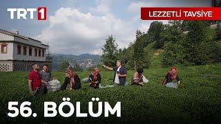 Lezzetli Tavsiye 56. Bölüm