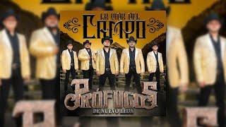 Prófugos de Nuevo León - La Vida Del Campo (Audio Oficial)