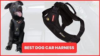 Pet Safety - Best Dog Car Harness | EzyDog Drive Harness