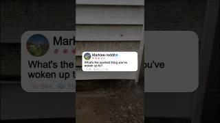 What's the scariest thing you've woken up to?#reddit #story #redditstory#storytime
