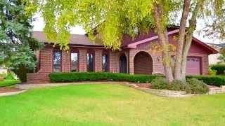 cynthia doehler remax 15703parksidedr homer glen real estate agent