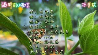 流行歌曲 - 酒醉的蝴蝶[孫藝琪]  可可音乐, 恰恰音樂, 披荊斬棘, гвоздика лечебные свойства