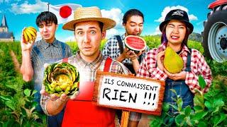 J'emmène des Japonais en France juger les fruits et légumes (ils connaissent RIEN !!!)