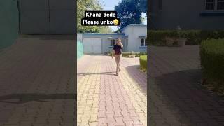 Dede khana unko please#shorts #explore #funny #beagle #video #viralshort