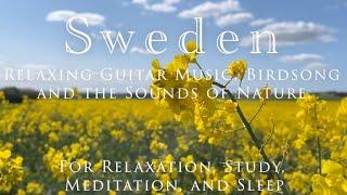 Sweden -2 hours of Relaxing Guitar Music and the Sound of Birdsong and the Sound of Nature for Study