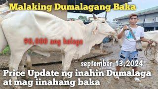 Price Update ng mga Inahin Mag iinahan at Dumalagang Baka Padre Garcia Batangas