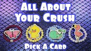 ALL ABOUT YOUR CRUSH 🩷 "What Are They Thinking & Feeling?"  Pick A Card Tarot Reading