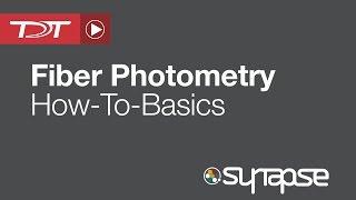 Fiber Photometry - RZ5P Processor - TDT