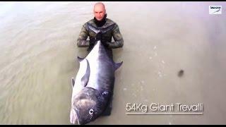 Chasse sous-marine 54 kg géant Carangue Showdown - Top Shots Big Fish Chasse apnée Pesca