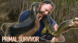 Getting Attacked By A HUGE ANACONDA | Primal Survivor