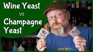 Wine Yeast vs Champagne Yeast!  Which is better?