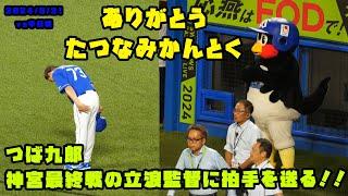 つば九郎　神宮最終戦で挨拶する立浪監督に拍手を送る！！　2024/9/21 vs中日