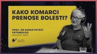 Koje vrste komaraca prenose bolesti i kako?