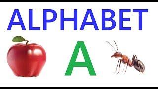 Learning Alphabet A ......A for Apple..... A for Ant