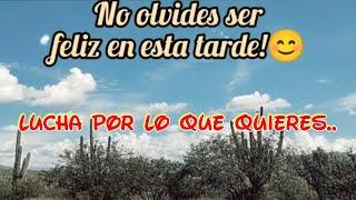 Lucha por lo que quieres, que tengas una bendecida tarde!
