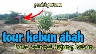 [Episod1151] pak long bawa tour seluruh kebun abah tengok pokok² yang masih ada