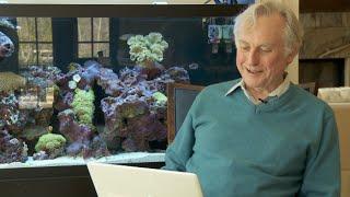 Love Letters to Richard Dawkins