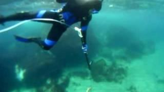 Spear fishing:  tasty salmonet