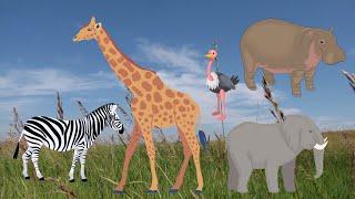 BOL Animals [African Animals] #animalsounds #animals #animalshorts #kidsvideo