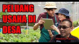 Peluang usaha di desa PELUANG USAHA DI DESA | Handoko Tantra