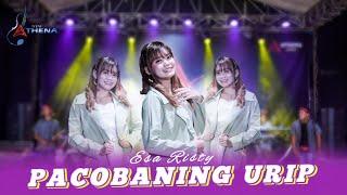 Pacobaning Urip - Esa Risty (Official Live Music) Rino Klawan Wengi