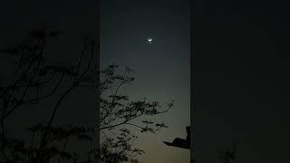 Beautiful moon and star #shorts#nature#video#beauty #natural#moonlight