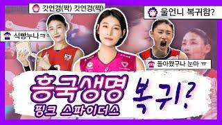 김연경, 흥국생명 핑크스파이더 복귀? V리그 배구여제의 귀환