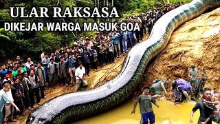 GEGER !! ULAR RAKSASA DI KEJAR WARGA MASUK GOA PERTAPAAN