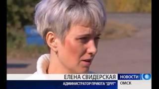 День защиты животных в приюте "Друг"