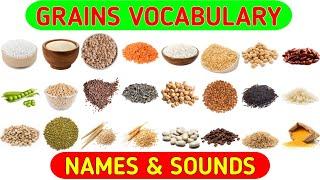 Grains Vocabulary | Learn Grains, Seeds & Cereals Name in English With Pictures