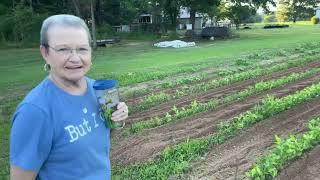 Porch Talk & Garden Tour with Mama Sue | Updates from Sue Garrett while sitting on the porch