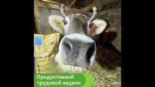 Сытный ПРО Удой от ТМ КОРМЛИНА