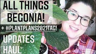 Plant Plans 2021 Tag + All Things Begonia!