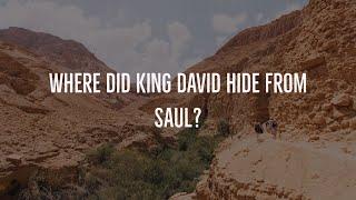 Where Did King David Hide From Saul?