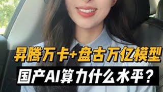 国产算力到底行不行？ #昇腾 #国产算力