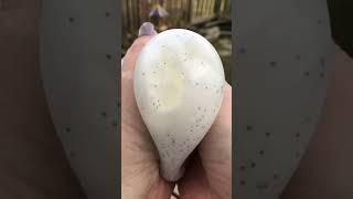 Snowball The Crunchy Stress Ball! ️ #shorts #freeproduct #asmr #satisfyingvideo #stressrelief