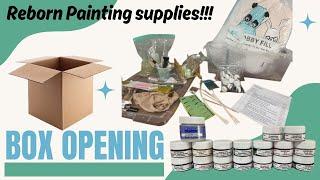 Reborn baby Painting supplies Box Opening - ShellBells Channel