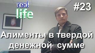 #23 Алименты в твердой денежной сумме