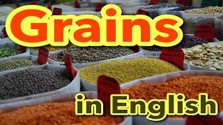 Grains in English - English Vocabulary Speaking Pronunciation Practice for Beginners