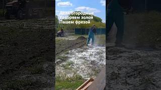 дела огородные , сажаем картоху #топ #огород #фреза