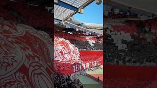 FC Nürnberg vs SpVgg Greuther Fürth  16.03.2025 #nürnberg #germany #ultras #ultrasworld #football