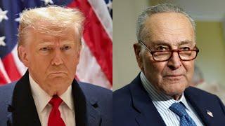 Donald Trump labels Chuck Schumer as a 'Palestinian'