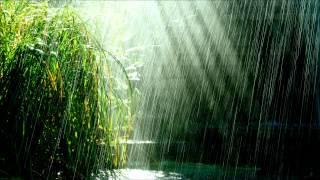 Tropical storm - relaxing tropical rain with birds chirping