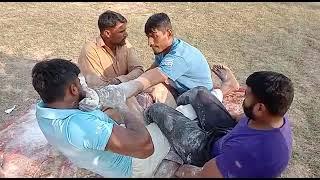 Fauma jrw  vs mstry pehlwan |vini muqbla|Rai Ehsan625