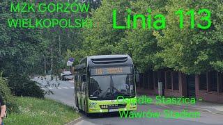 MZK Gorzów Wielkopolski, linia 113 - MAN NL253 Lion' s City Hybrid #660