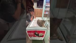 #funnyvideos #scareprank #funnymoments #fail #prankvideos #funny #troll #funnyvideo