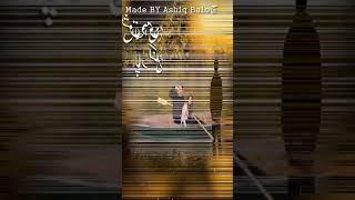 Bheke Ishq Di Bedi Asan Par Langran New 2020 WhatsApp Status And TikTok Video By Ashiq Husayn Sad