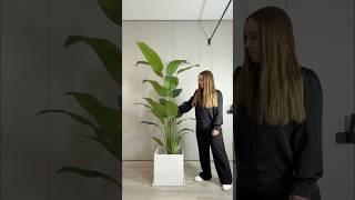Кашпо из архитектурного бетона от компании ЛИСса  #мебель #москва #россия #бетон #дизайн #дизайнер
