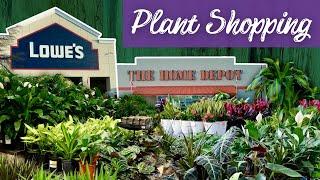 Big Box Store Plant Shopping Adventure: Lowe's vs Home Depot